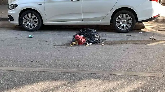 Bunun adı sorumsuzluk! Etrafı pis koku sardı