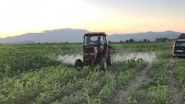 Simav'da ayçiçeği zararlısı 'çayır tırtılı' ile mücadele çalışmaları