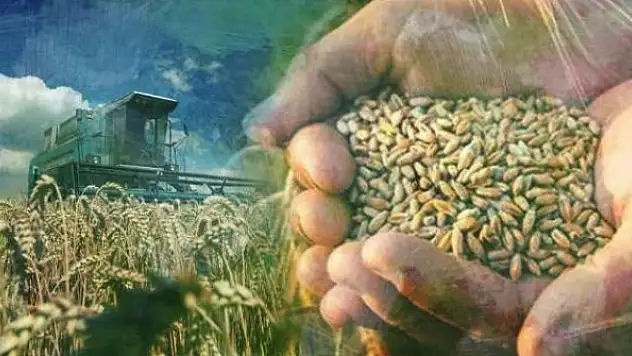 ABD, tahıl sevkiyatı için B planı arayışında