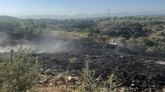 Adana'da yangın: Ormana sıçramadan kontrol altına alındı