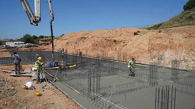 Sokak hayvanlarına 5 yıldızlı rehabilitasyon merkezi