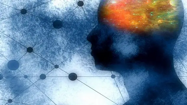 Şizofreni hastalığı nedir? Neden olur? Tedavisi nasıl yapılır?