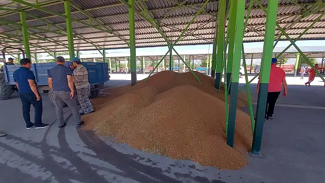 Buğday ve arpa alımına çiftçilerden yoğun ilgi