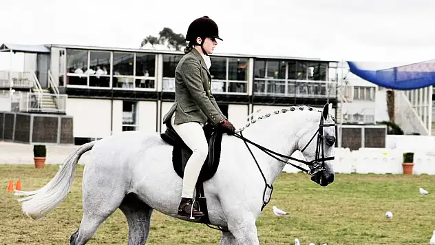 NEÜ'de Atçılık ve Antrenörlüğü programı öğrencilerini bekliyor