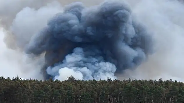 Almanya-Çekya sınırındaki orman yangınında 4 itfaiye eri yaralandı