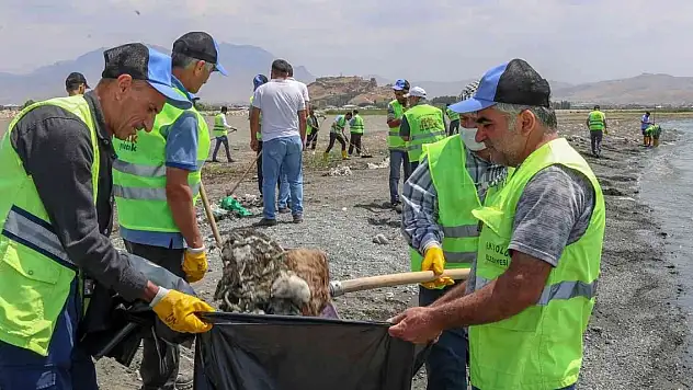 Van Gölü sahilinde tonlarca çöp toplandı