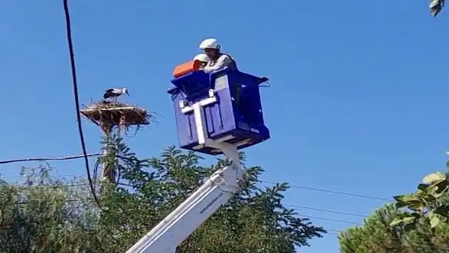 Sıcaklar leylekleri de etkiledi, doğaseverler leylekler için harekete geçti