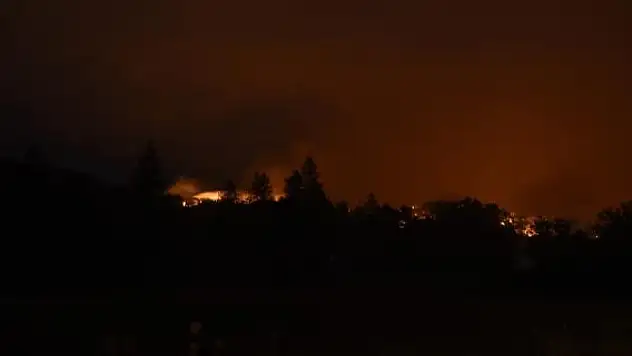 Sıcaklar kavuruyor: Orman yangınlarıyla mücadele sürüyor