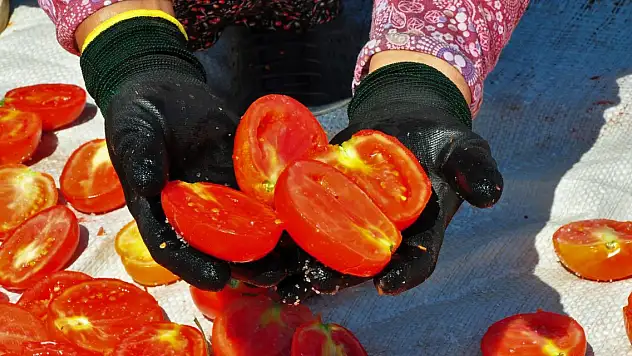 İlçede üretip ABD ve Avrupa'ya ihraç ediyorlar