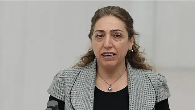 DBP'li Aydeniz'in dokunulmazlık dosyası Meclis'te