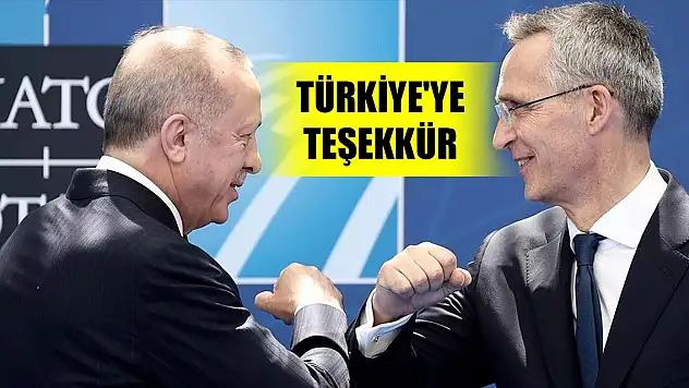 Stoltenberg'den Türkiye'ye teşekkür