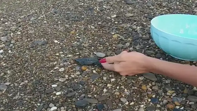 Yolunu kaybeden yavru carettayı denizle buluşturdular