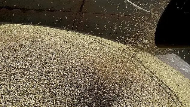 Küresel gıda fiyatları 2 yılın en düşük seviyesine indi