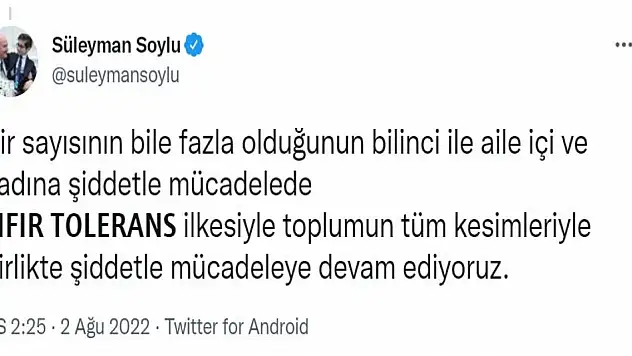 Bakan Soylu: 7 ayda 158 kadın cinayeti oldu