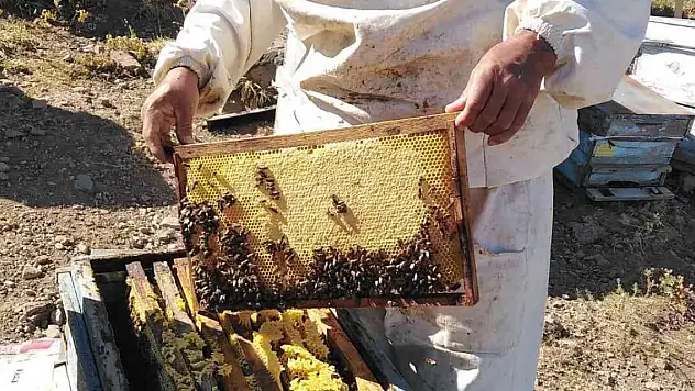 Ömrünü Arıcılığa adamış üretici bu yılki verimden ümitli