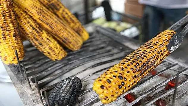 Yaz aylarının sevilen lezzeti: Süt mısır