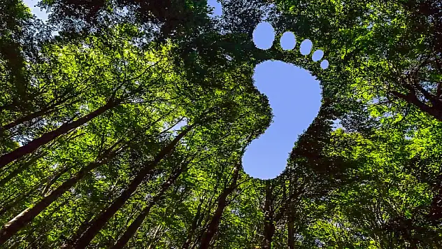 Karbon ayak izini sıfırlayan kripto projesi geliştirildi