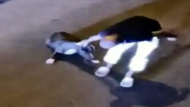 Avcılar'da sokak ortasında dövülen köpeğin çalıntı olduğu ortaya çıktı