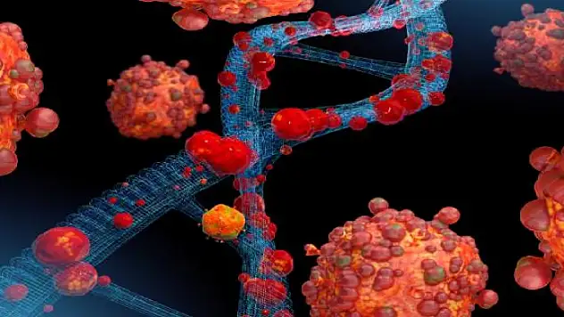 ABD'de maymun çiçeği nedeniyle 'acil durum' ilan edildi