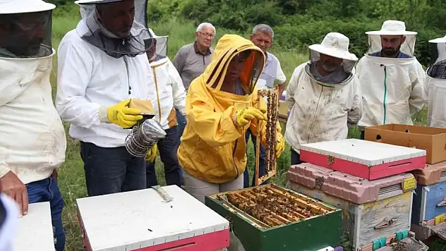 Emekli olduktan sonra huzuru arılarda buldu