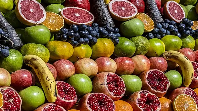 Tarımda Cumhuriyet tarihinin en yüksek ocak-temmuz ihracatı