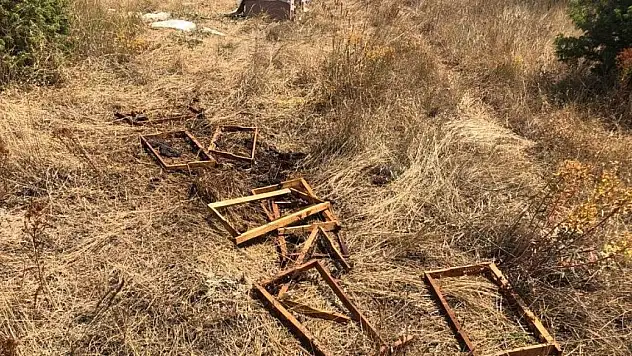 Emet'te ayılar 13 arı kovanını parçaladı