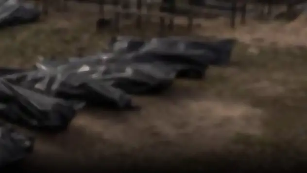 Otoyolda 6 ceset bulundu