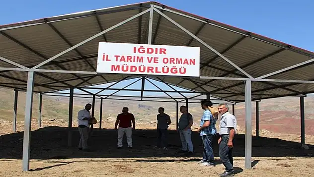 Hayvanlar için gölgelikler yapılıyor