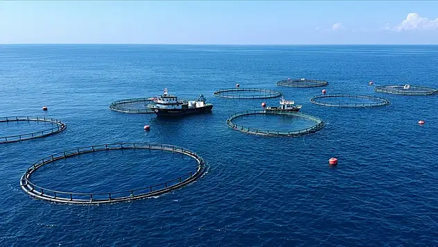 Su ürünleri ihracatı 20 yılda yaklaşık 25 katına çıktı