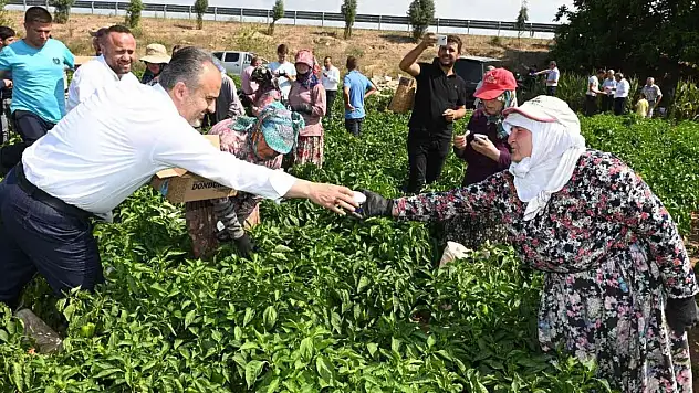 Tarlada serinleten ziyaret