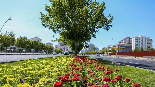 Kayapınar ilçesinde Fırat Bulvarı 75 bin 360 adet çiçekle süslendi
