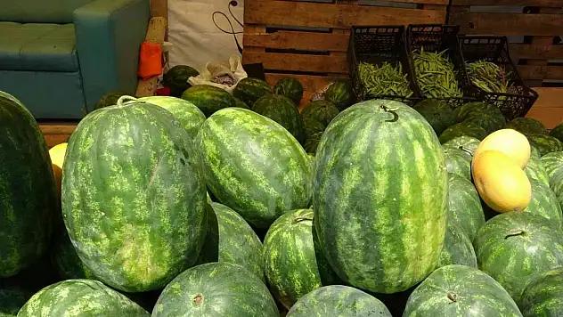 Yalıncak Karpuzunda hasat rötarlı başladı