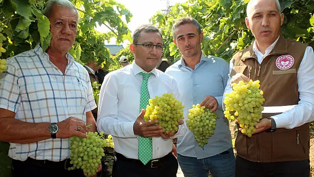 Üzümde ihracat başladı, ilk TIR'lar yola çıktı
