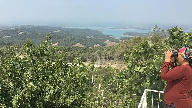 Ormana adanmış bir ömür