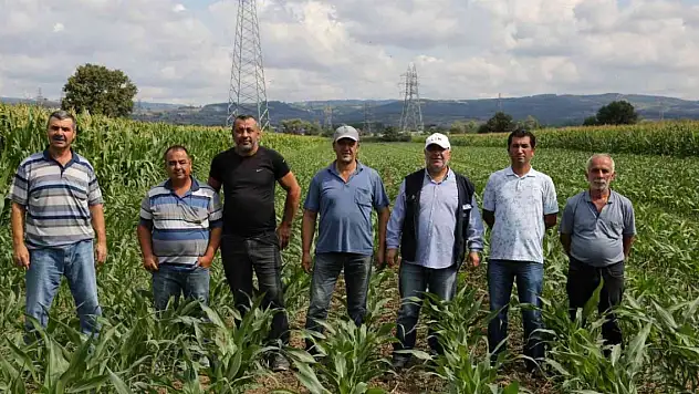 2 bin çiftçiye 120 ton dane mısır desteği