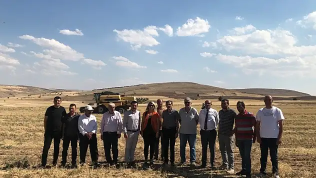 Üreticiye dağıtılan nohutların hasadına başlandı