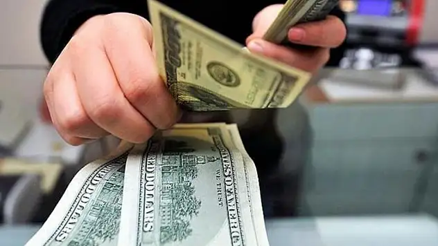 Serbest piyasada döviz açılış fiyatları (19 Arlaık 2023)