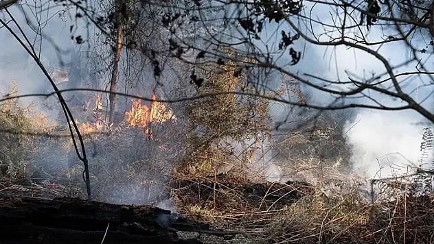 Fransa'da yangınla mücadele ediyor