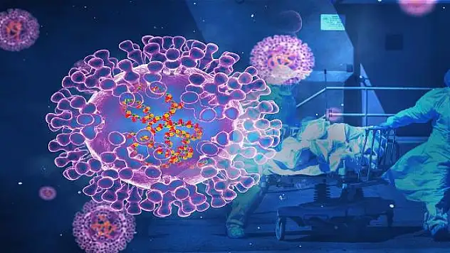 Almanya'da 4 yaşındaki çocukta maymun çiçeği tespit edildi