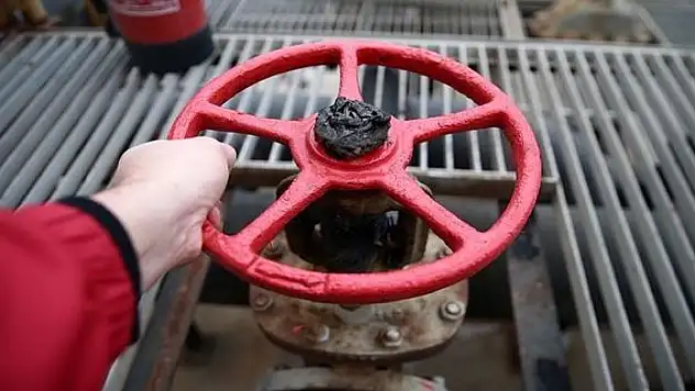 Transneft, Avrupa'ya petrol sevkiyatını durdurdu