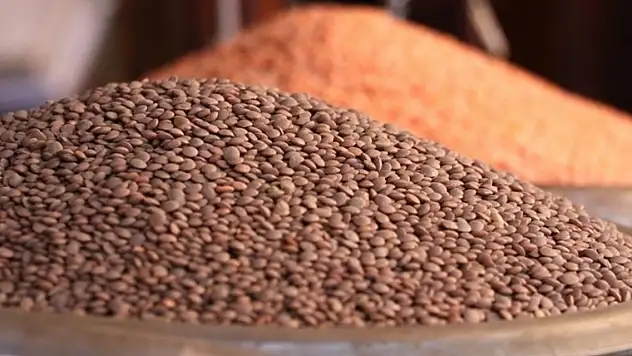 Hububat ve bakliyat ihracatında artış sürüyor