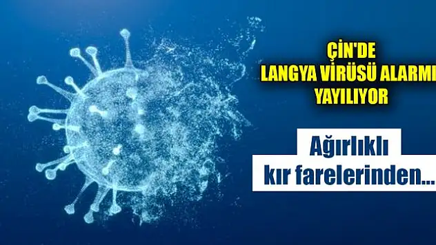 Çin'de Langya virüsü alarmı! Yayılıyor