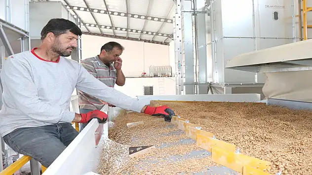 KOP desteğiyle tohum maliyeti düştü