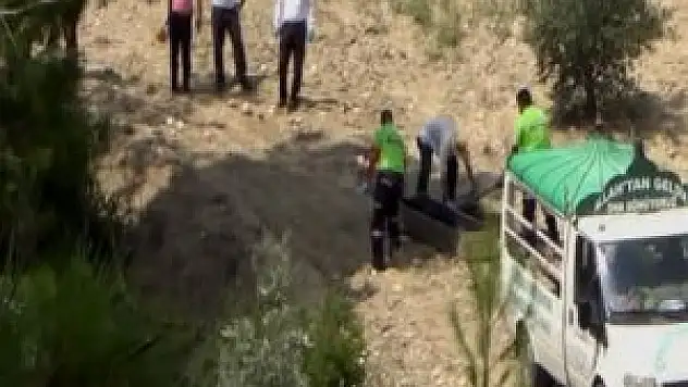 Kafası gövdesinden ayrılmış şekilde bulundu!