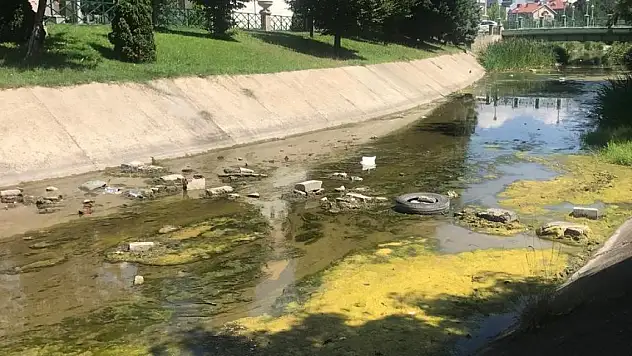 Su çekilince kanaldakiler ortaya çıktı