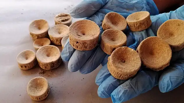 Patara'da 2 bin 600 yıllık köpek balığı ve vatoz kemikleri bulundu