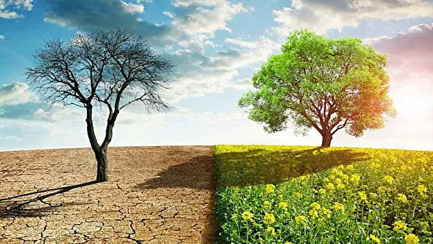 İklim Değişikliği Başkanlığına 38 sözleşmeli personel alınacak