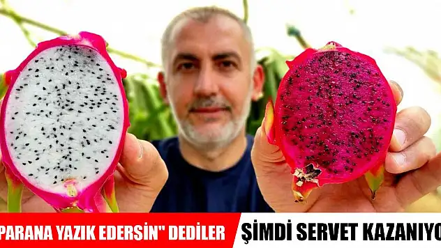 'Parana yazık edersin' diyenleri dinlemedi, şimdi servet kazanıyor