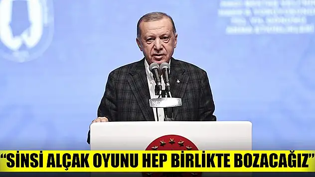 Erdoğan: Bu sinsi alçak oyunu hep birlikte bozacağız