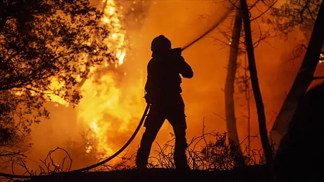 Avrupa'da son yılların en yoğun orman yangınları